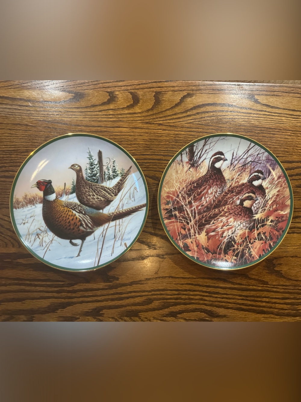 Wild Quail Decorative Wall Plate in Brown and Green- 1989